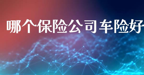 哪个保险公司车险好_https://m.letulww.com_期货交易软件_第1张