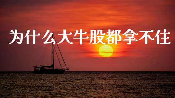 为什么大牛股都拿不住_https://m.letulww.com_期货交易软件_第1张