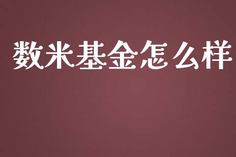 数米基金怎么样_https://m.letulww.com_期货开户保证金_第1张