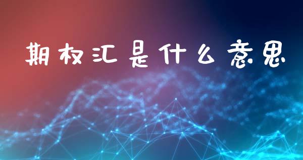 期权汇是什么意思_https://m.letulww.com_期货交易策略_第1张