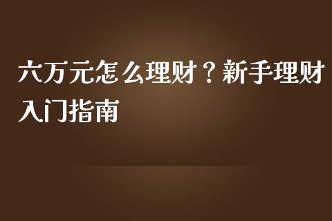 六万元怎么理财？新手理财入门指南_https://m.letulww.com_期货交易软件_第1张