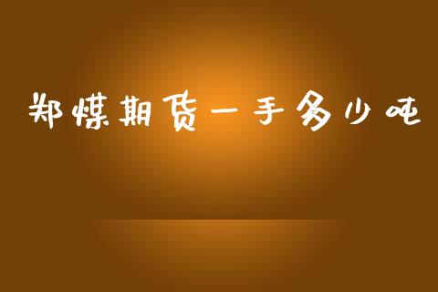 郑煤期货一手多少吨_https://m.letulww.com_股指期货交易时间_第1张