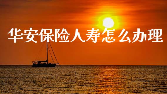 华安保险人寿怎么办理_https://m.letulww.com_期货交易策略_第1张