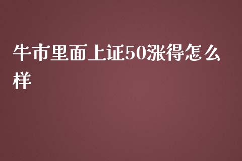 牛市里面上证50涨得怎么样_https://m.letulww.com_期货交易软件_第1张
