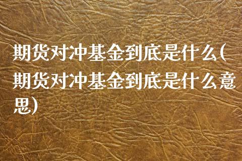 期货对冲基金到底是什么(期货对冲基金到底是什么意思)_https://m.letulww.com_期货交易策略_第1张