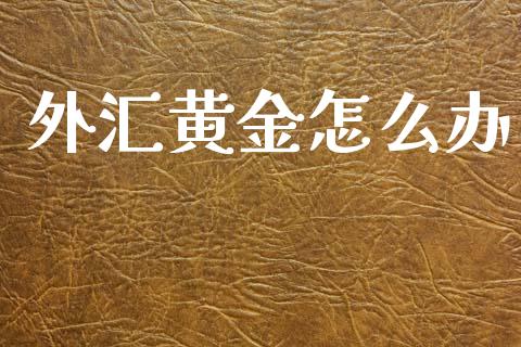 外汇黄金怎么办_https://m.letulww.com_期货开户保证金_第1张