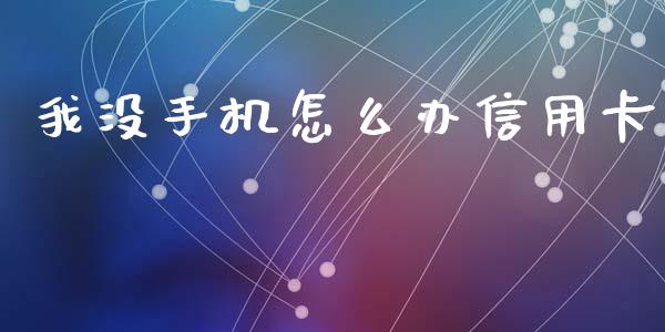 我没手机怎么办信用卡_https://m.letulww.com_期货交易软件_第1张