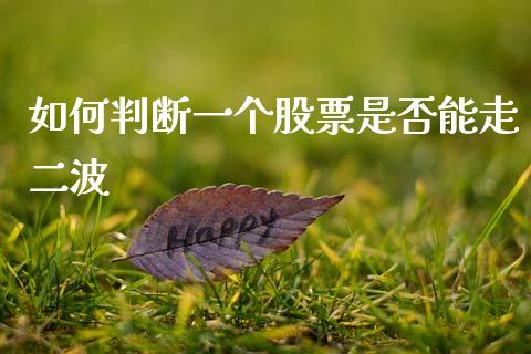 如何判断一个股票是否能走二波_https://m.letulww.com_期货交易软件_第1张
