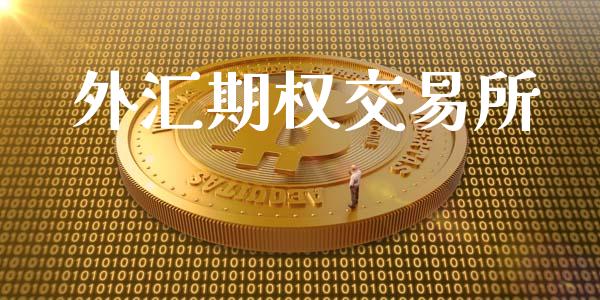 外汇期权交易所_https://m.letulww.com_股指期货交易时间_第1张