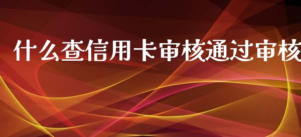 什么查信用卡审核通过审核_https://m.letulww.com_期货开户保证金_第1张