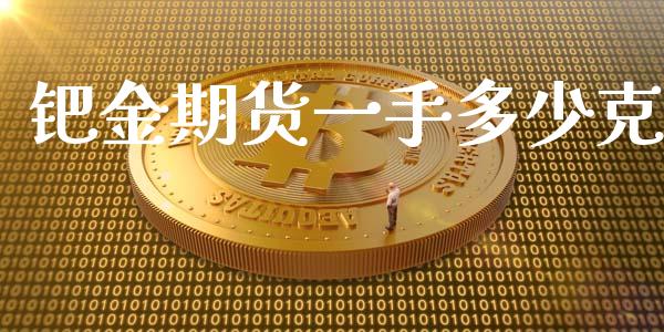 钯金期货一手多少克_https://m.letulww.com_期货交易策略_第1张