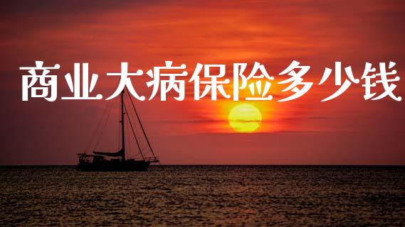 商业大病保险多少钱_https://m.letulww.com_股指期货交易时间_第1张