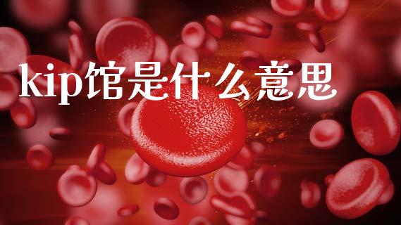 kip馆是什么意思_https://m.letulww.com_股指期货交易时间_第1张