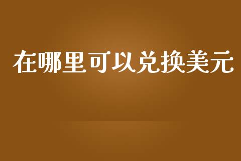 在哪里可以兑换美元_https://m.letulww.com_期货交易软件_第1张