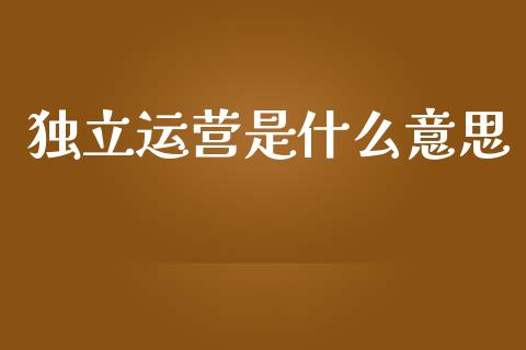 独立运营是什么意思_https://m.letulww.com_股指期货交易时间_第1张