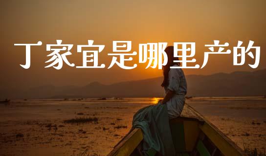 丁家宜是哪里产的_https://m.letulww.com_期货交易策略_第1张