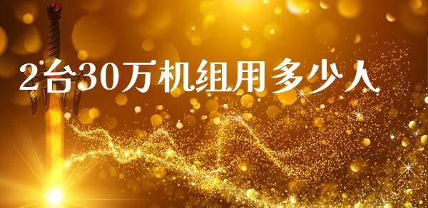 2台30万机组用多少人_https://m.letulww.com_期货交易策略_第1张