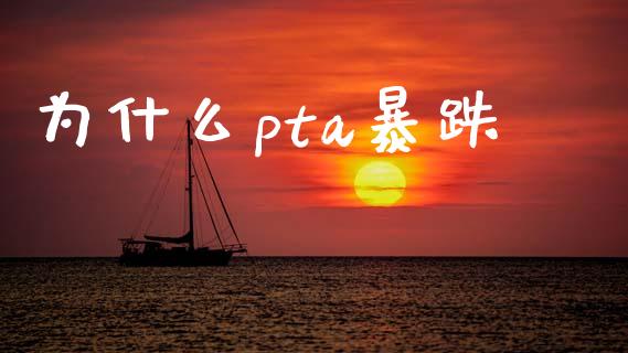 为什么pta暴跌_期货交易软件_第1张_期货开户保证金_期货交易软件_股指期货交易时间_期货交易策略 为什么pta暴跌_https://m.letulww.com_期货交易软件_第1张