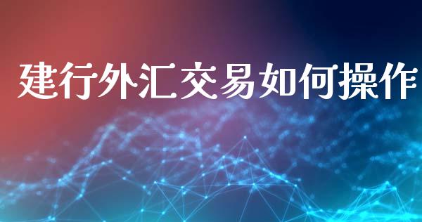 建行外汇交易如何操作_https://m.letulww.com_股指期货交易时间_第1张