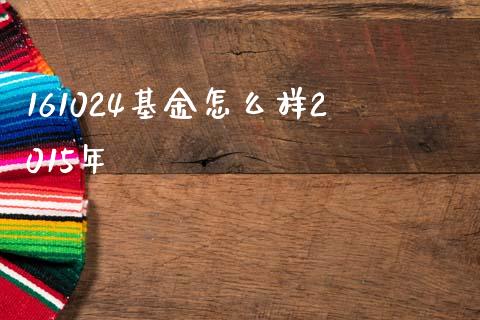 161024基金怎么样2015年_https://m.letulww.com_期货交易策略_第1张