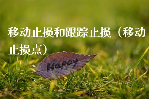 移动止损和跟踪止损（移动止损点）_https://m.letulww.com_股指期货交易时间_第1张