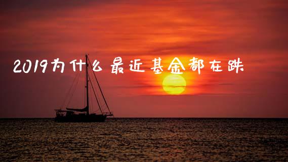 2019为什么最近基金都在跌_https://m.letulww.com_期货开户保证金_第1张