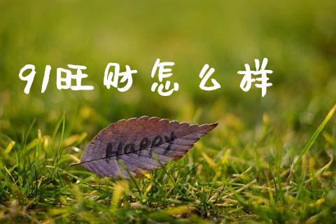 91旺财怎么样_https://m.letulww.com_股指期货交易时间_第1张