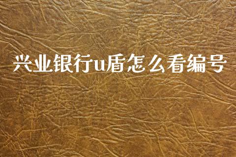 兴业银行u盾怎么看编号_https://m.letulww.com_期货交易策略_第1张