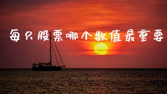 每只股票哪个数值最重要_https://m.letulww.com_期货交易软件_第1张
