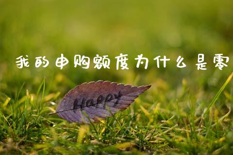 我的申购额度为什么是零_https://m.letulww.com_期货交易软件_第1张