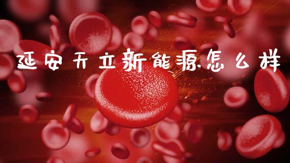 延安天立新能源怎么样_https://m.letulww.com_期货交易软件_第1张