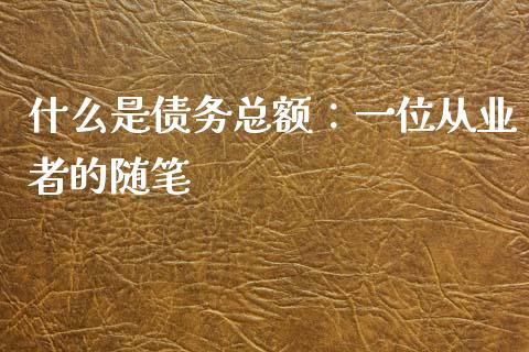 什么是债务总额：一位从业者的随笔_https://m.letulww.com_期货开户保证金_第1张