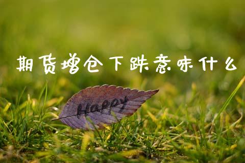 期货增仓下跌意味什么_https://m.letulww.com_期货交易软件_第1张