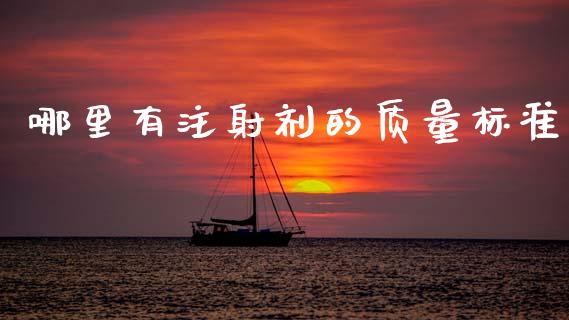 哪里有注射剂的质量标准_https://m.letulww.com_期货交易软件_第1张