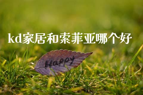 kd家居和索菲亚哪个好_https://m.letulww.com_期货交易软件_第1张