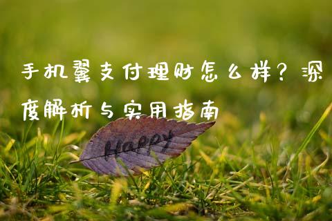 手机翼支付理财怎么样？深度解析与实用指南_https://m.letulww.com_期货交易策略_第1张