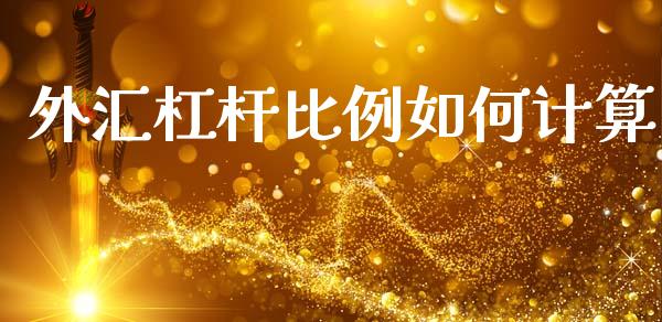 外汇杠杆比例如何计算_https://m.letulww.com_期货交易软件_第1张