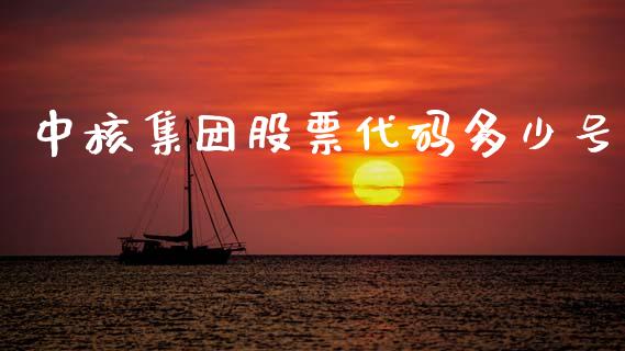 中核集团股票代码多少号_https://m.letulww.com_期货开户保证金_第1张