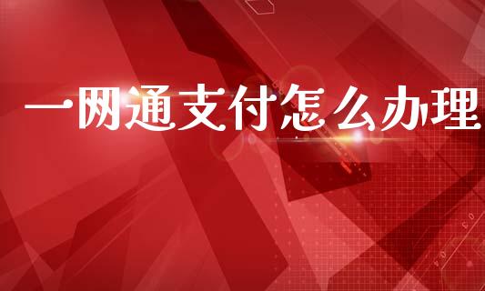 一网通支付怎么办理_https://m.letulww.com_期货开户保证金_第1张