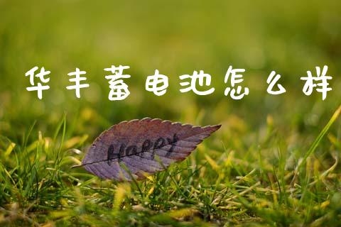 华丰蓄电池怎么样_https://m.letulww.com_股指期货交易时间_第1张