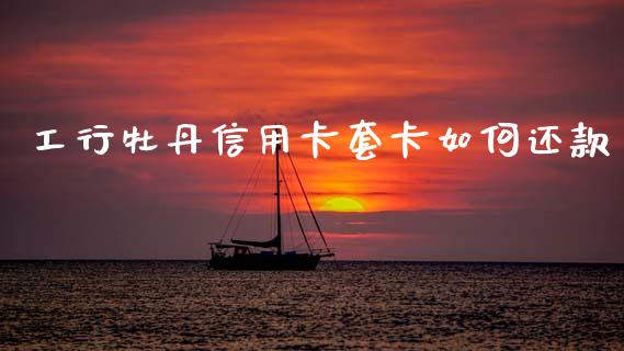 工行牡丹信用卡套卡如何还款_https://m.letulww.com_期货交易软件_第1张