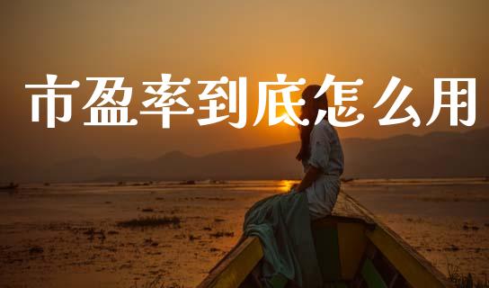 市盈率到底怎么用_https://m.letulww.com_期货交易策略_第1张