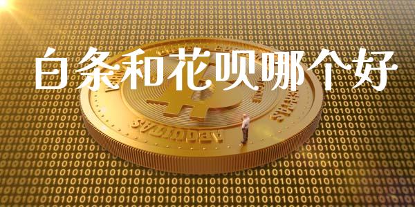 白条和花呗哪个好_https://m.letulww.com_股指期货交易时间_第1张