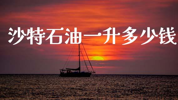 沙特石油一升多少钱_https://m.letulww.com_期货开户保证金_第1张