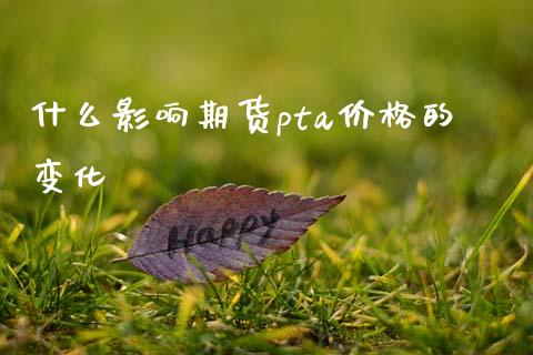 什么影响期货pta价格的变化_https://m.letulww.com_期货交易软件_第1张
