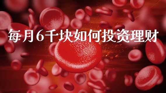 每月6千块如何投资理财_https://m.letulww.com_期货交易软件_第1张