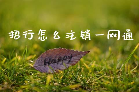 招行怎么注销一网通_https://m.letulww.com_期货交易软件_第1张