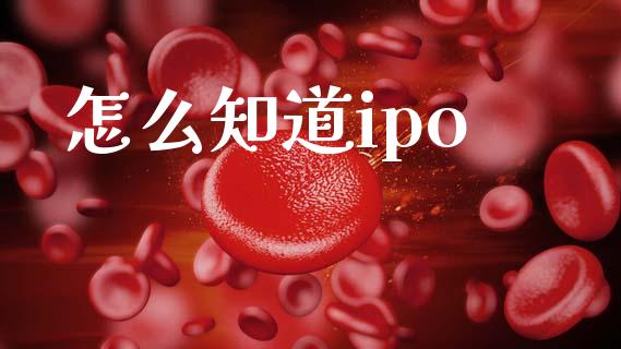 怎么知道ipo_https://m.letulww.com_股指期货交易时间_第1张