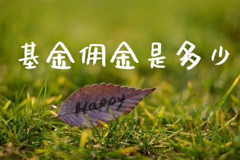 基金佣金是多少_https://m.letulww.com_期货交易软件_第1张
