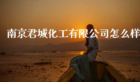 南京君城化工有限公司怎么样_https://m.letulww.com_期货交易软件_第1张